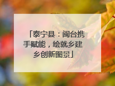 泰宁县：闽台携手赋能，绘就乡建乡创新图景