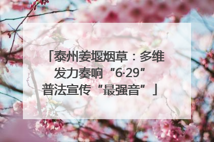 泰州姜堰烟草：多维发力奏响“6·29”普法宣传“最强音”