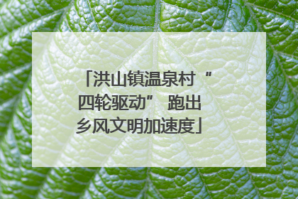 洪山镇温泉村“四轮驱动” 跑出乡风文明加速度
