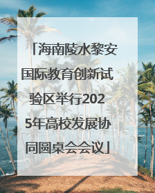 海南陵水黎安国际教育创新试验区举行2025年高校发展协同圆桌会会议