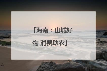 海南：山城好物 消费助农