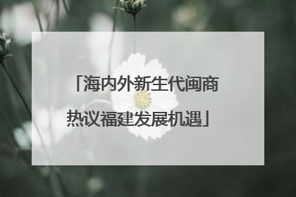 海内外新生代闽商热议福建发展机遇