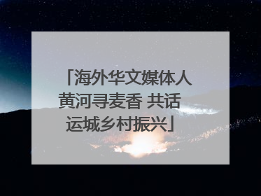 海外华文媒体人黄河寻麦香 共话运城乡村振兴