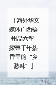 海外华文媒体广西梧州品六堡 探寻千年茶香里的“乡愁味”