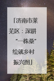 济南市莱芜区：深耕“一株桑” 绘就乡村振兴图