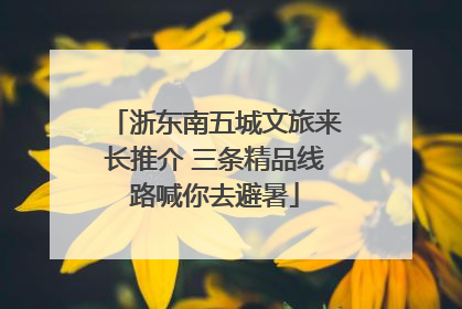 浙东南五城文旅来长推介 三条精品线路喊你去避暑