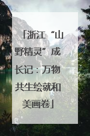 浙江“山野精灵”成长记：万物共生绘就和美画卷