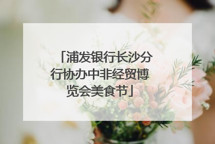 浦发银行长沙分行协办中非经贸博览会美食节