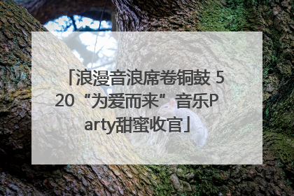 浪漫音浪席卷铜鼓 520“为爱而来”音乐Party甜蜜收官