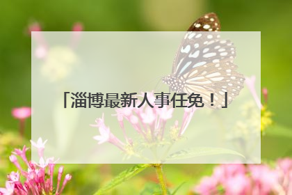 淄博最新人事任免！