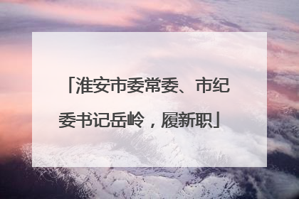 淮安市委常委、市纪委书记岳岭，履新职