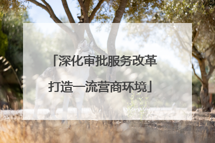 深化审批服务改革 打造一流营商环境