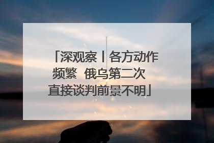 深观察丨各方动作频繁  俄乌第二次直接谈判前景不明