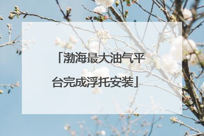 渤海最大油气平台完成浮托安装