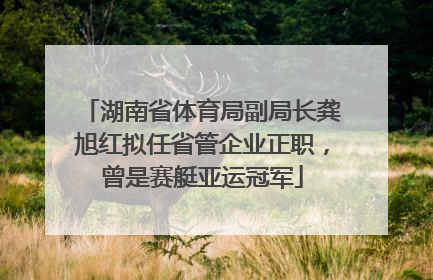 湖南省体育局副局长龚旭红拟任省管企业正职，曾是赛艇亚运冠军