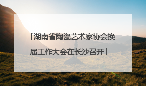 湖南省陶瓷艺术家协会换届工作大会在长沙召开