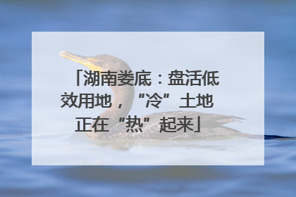 湖南娄底：盘活低效用地，“冷”土地正在“热”起来