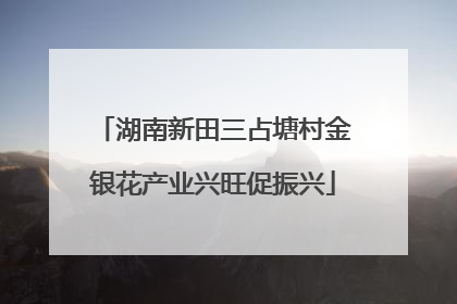 湖南新田三占塘村金银花产业兴旺促振兴