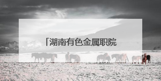 湖南有色金属职院开展“粽情端午，青春飞扬”主题活动