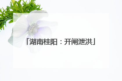 湖南桂阳：开闸泄洪