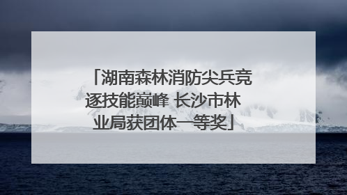 湖南森林消防尖兵竞逐技能巅峰 长沙市林业局获团体一等奖