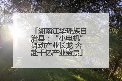 湖南江华瑶族自治县：“小电机”舞动产业长龙 奔赴千亿产业盛景