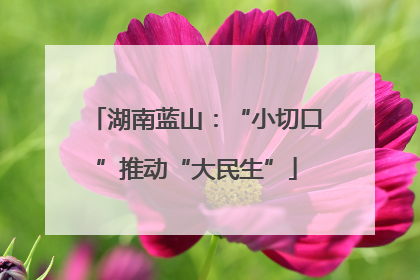 湖南蓝山：“小切口”推动“大民生”