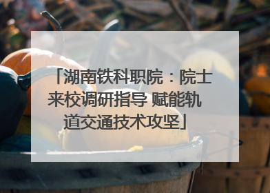 湖南铁科职院：院士来校调研指导 赋能轨道交通技术攻坚