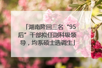 湖南隆回三名“95后”干部拟任副科级领导，均系硕士选调生