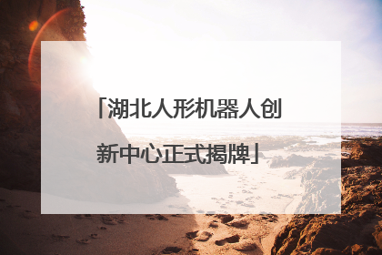湖北人形机器人创新中心正式揭牌