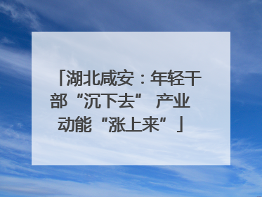 湖北咸安：年轻干部“沉下去” 产业动能“涨上来”