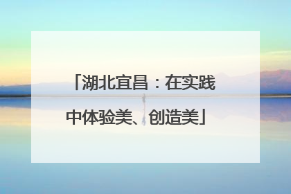 湖北宜昌：在实践中体验美、创造美
