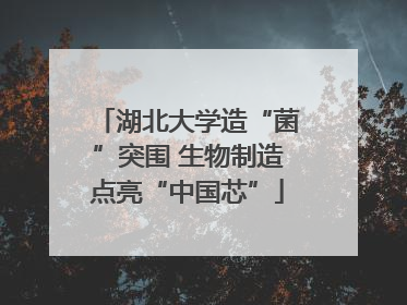 湖北大学造“菌”突围 生物制造点亮“中国芯”