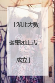 湖北大数据集团正式成立