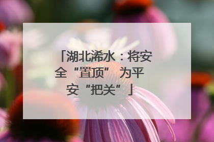 湖北浠水：将安全“置顶” 为平安“把关”