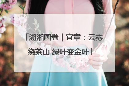 湖湘画卷｜宜章：云雾绕茶山 绿叶变金叶