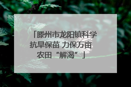 滕州市龙阳镇科学抗旱保苗 力保万亩农田“解渴”