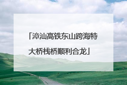 漳汕高铁东山跨海特大桥栈桥顺利合龙