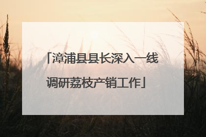 漳浦县县长深入一线调研荔枝产销工作
