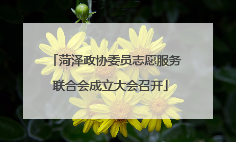 菏泽政协委员志愿服务联合会成立大会召开