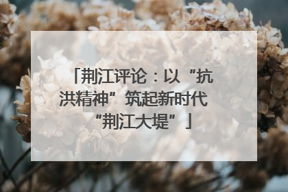 荆江评论：以“抗洪精神”筑起新时代“荆江大堤”