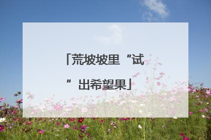 荒坡坡里“试”出希望果