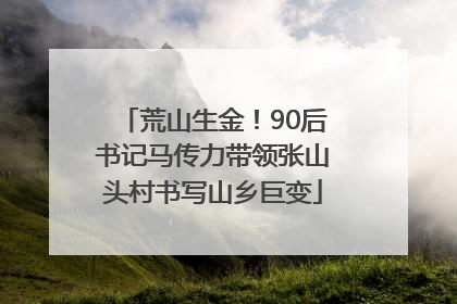 荒山生金！90后书记马传力带领张山头村书写山乡巨变