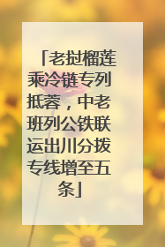 老挝榴莲乘冷链专列抵蓉，中老班列公铁联运出川分拨专线增至五条