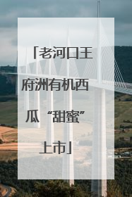 老河口王府洲有机西瓜“甜蜜”上市