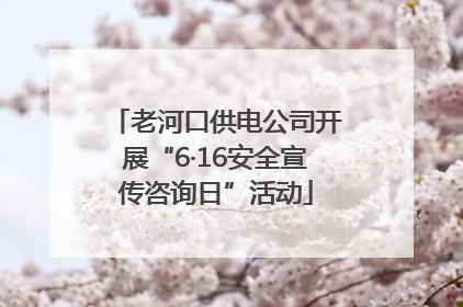 老河口供电公司开展“6·16安全宣传咨询日”活动