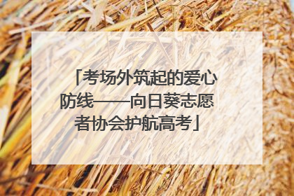 考场外筑起的爱心防线——向日葵志愿者协会护航高考