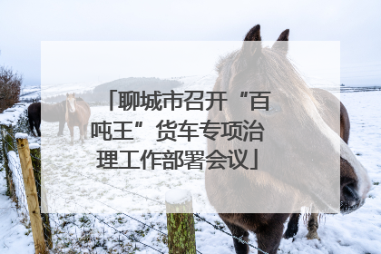 聊城市召开“百吨王”货车专项治理工作部署会议