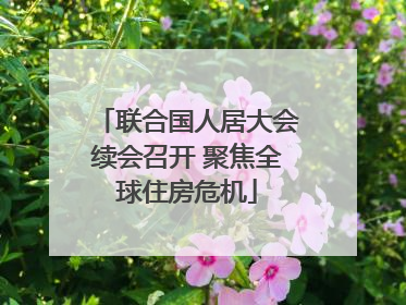 联合国人居大会续会召开 聚焦全球住房危机