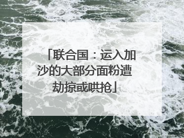 联合国：运入加沙的大部分面粉遭劫掠或哄抢